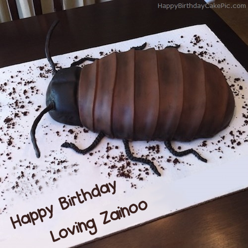 write name on Cockroach Birthday Cake